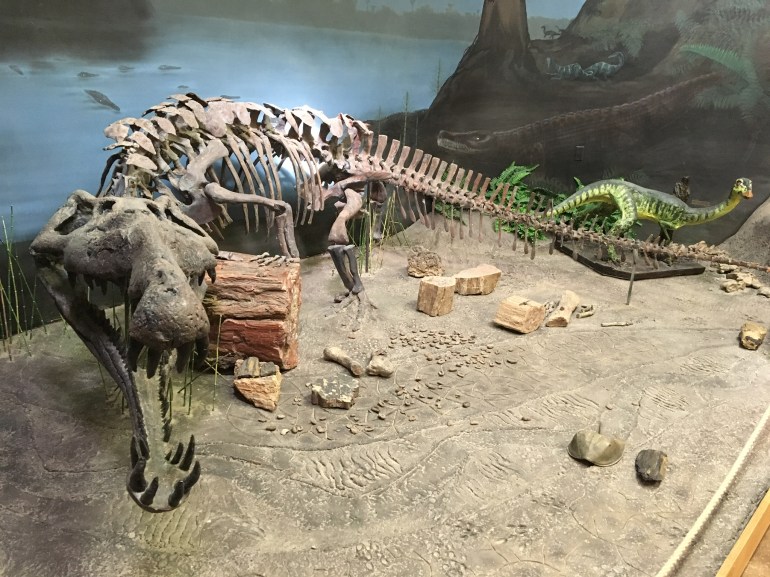 3EC5A039-2577-46FB-AE19-AF85AEE808BE