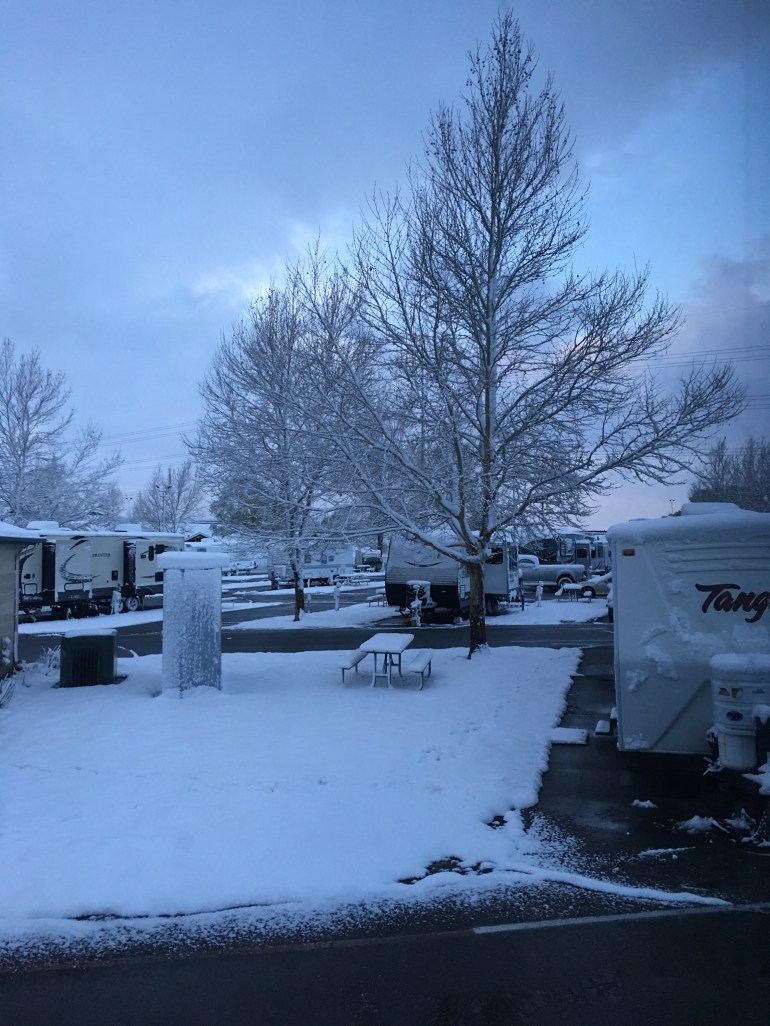 8150B4FB-6079-4D08-BE40-08A78BF50499