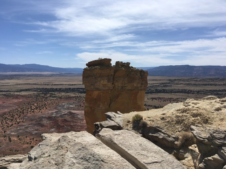 82A8D19C-5FAE-465E-849C-5C24C9DFB1AA