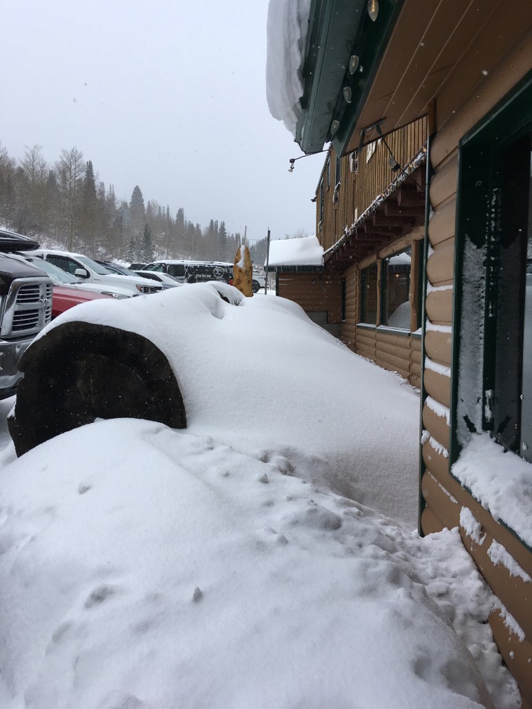 ACC83BD6-A20A-4637-956C-E5181EE6276D