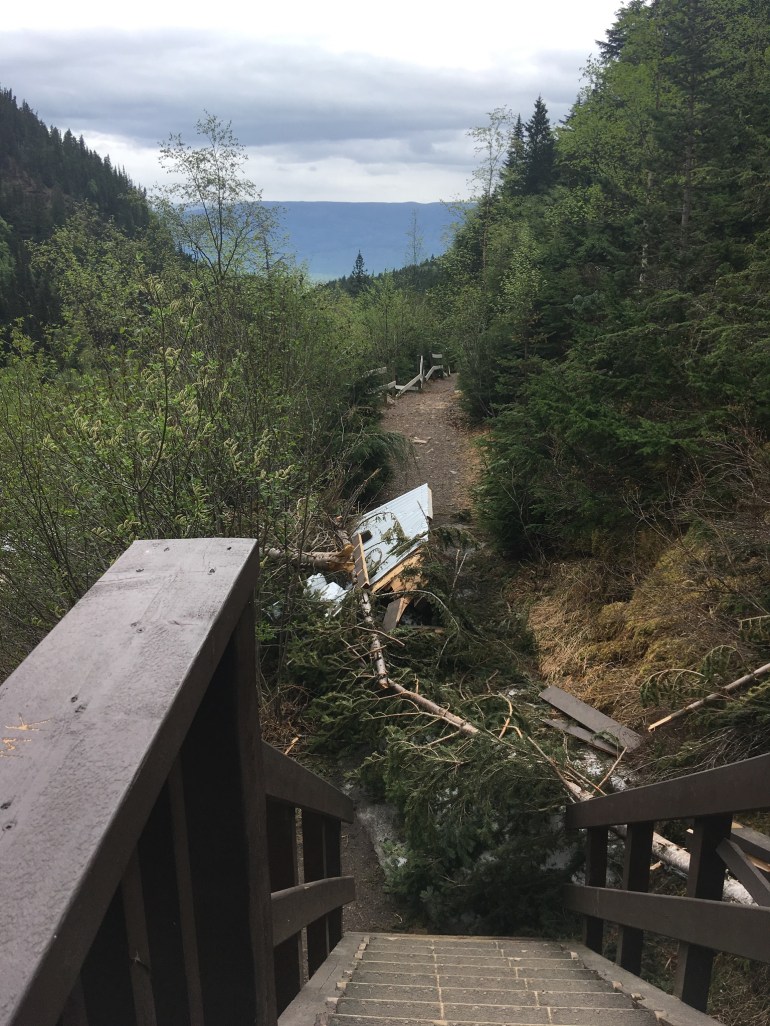 7EFCCFB3-97D8-4009-8B57-9CB75BA84C09