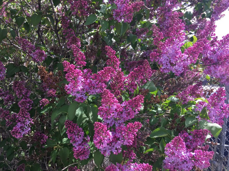 B1FBA6E0-1406-418D-B441-99108AD5520C