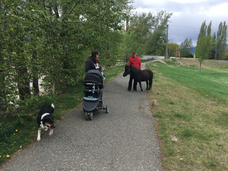 F0802A6D-9C63-40FA-A185-916287E381D6