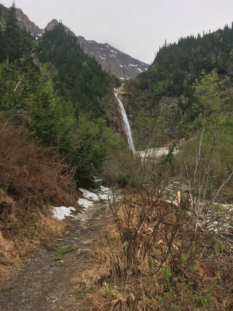 F8A0F58D-1F98-4CBE-82ED-F27035EA52CC