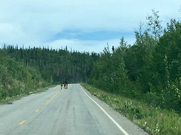 18765765-BAD8-4DD0-9779-F56624C97C5C